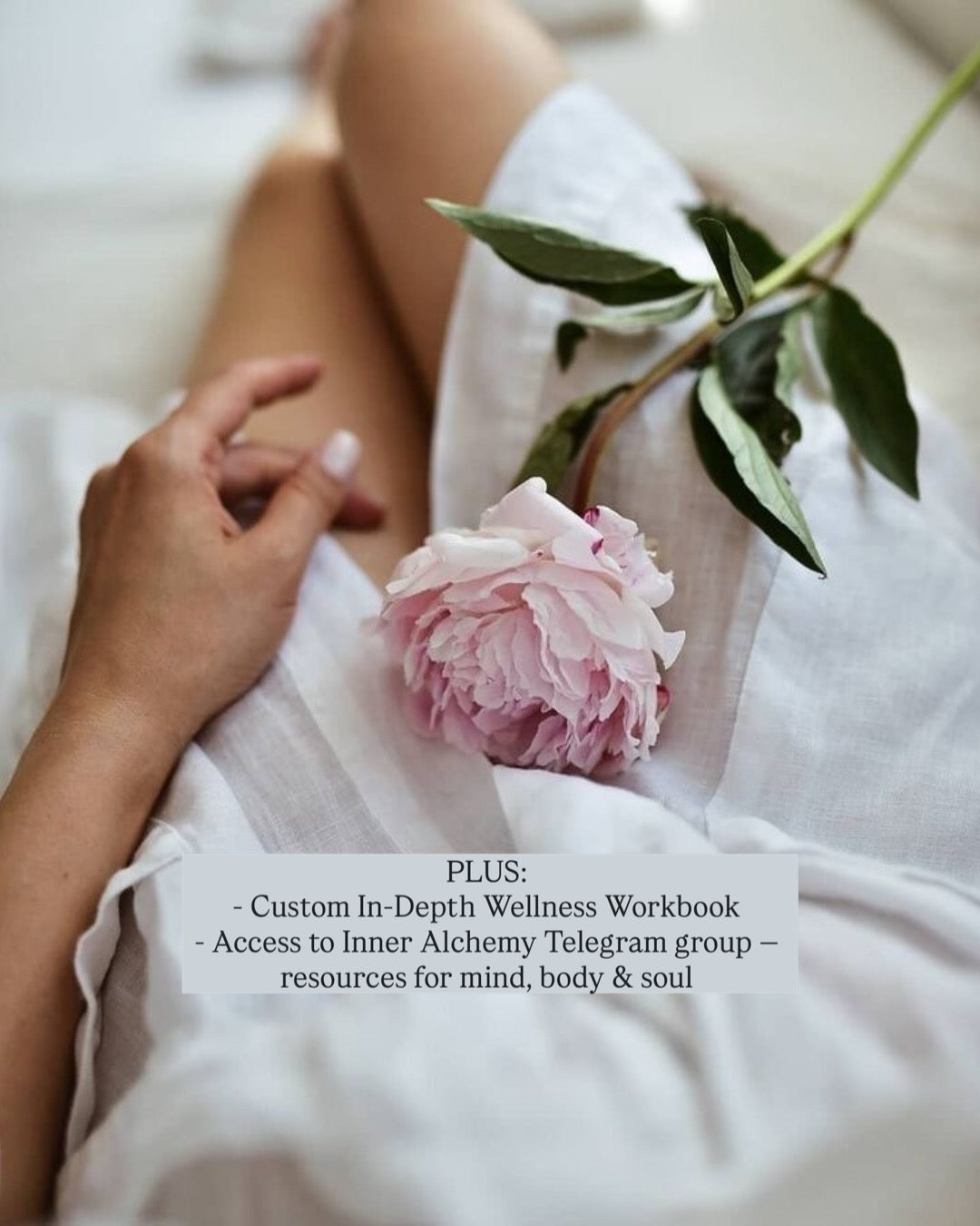 DAY 16 — Holiday Deal Root & Rise Package