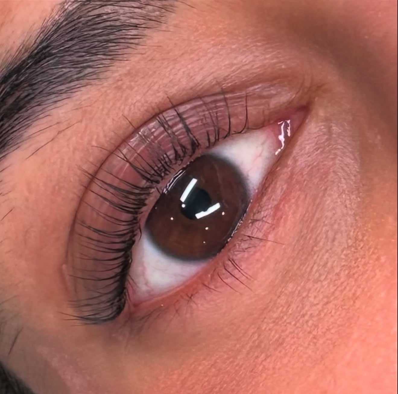 DAY 2 — Holiday Deal 10% OFF Lash Lift + Tint