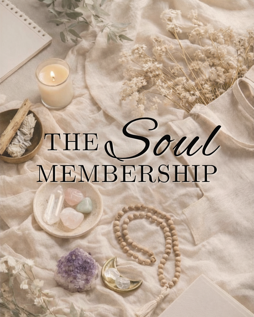 SOUL MEMBER