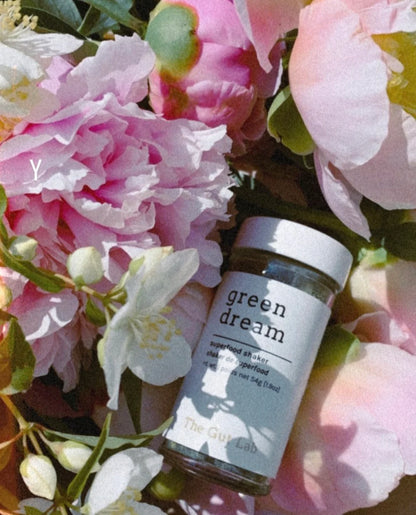 Green Dream Superfood Shaker